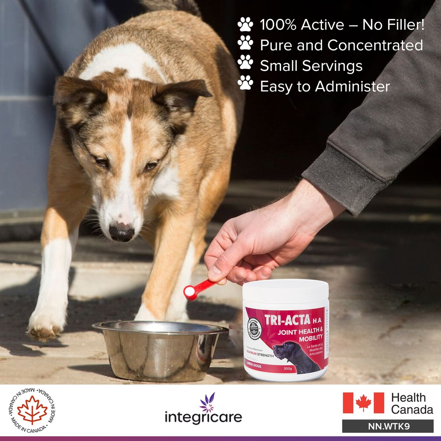Tri-Acta H.A. Maximum Strength Joint Health Supplement for Large Dogs, 300-gram (Size: 300-gram)