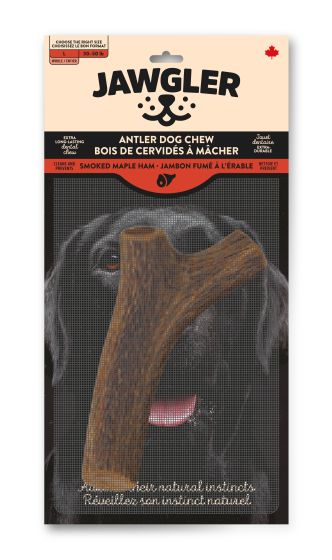 Jawgler Antler Dog Chew, Whole Smoked Ham, Large