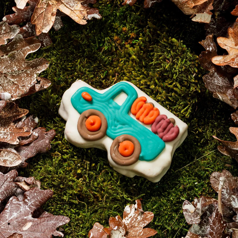 Bosco and Roxy's Gourds on the Go Fall Dog Cookie