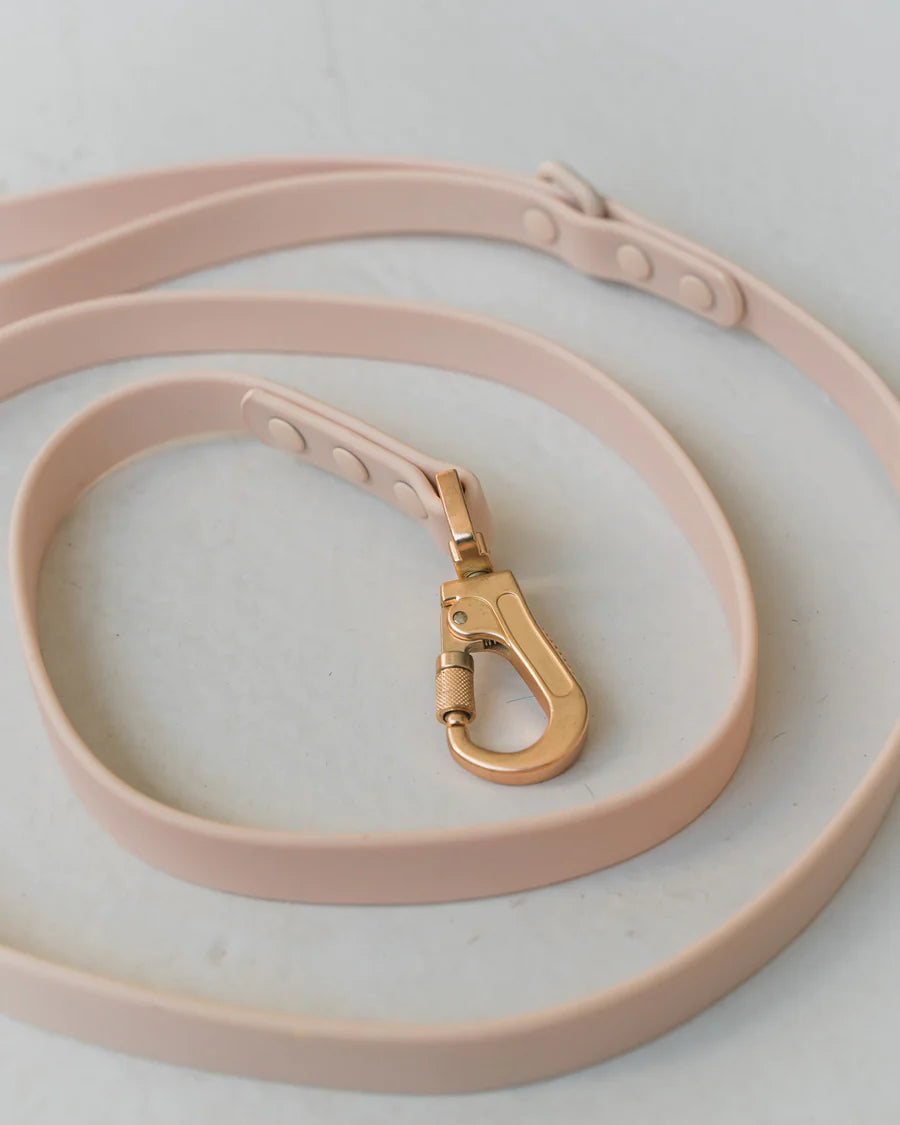Dexypaws - Waterproof Dog Leash - Nude - 6 Feet