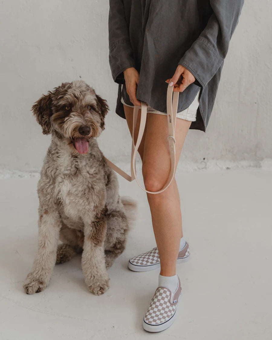 Dexypaws - Waterproof Dog Leash - Nude - 6 Feet