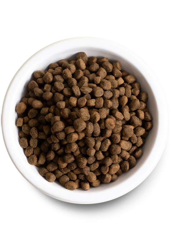Open Farm® Grain Free Puppy Salmon & Sweet Potato Recipe Dry Dog Food, 4lb