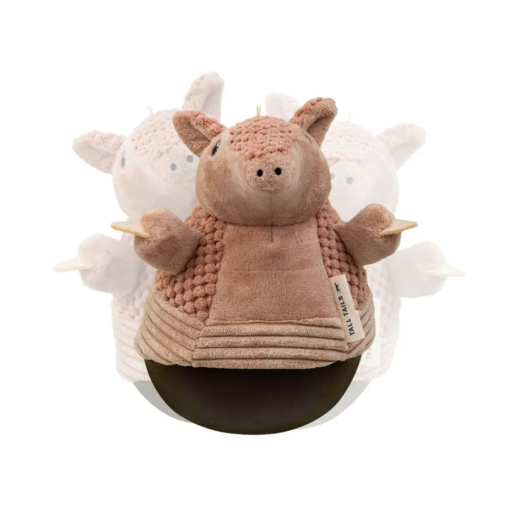 Tall Tails – Roly Poly Armadillo