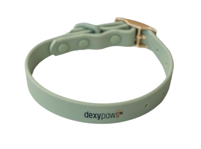 Dexypaws - Waterproof Dog Collar - Sage Green - Medium