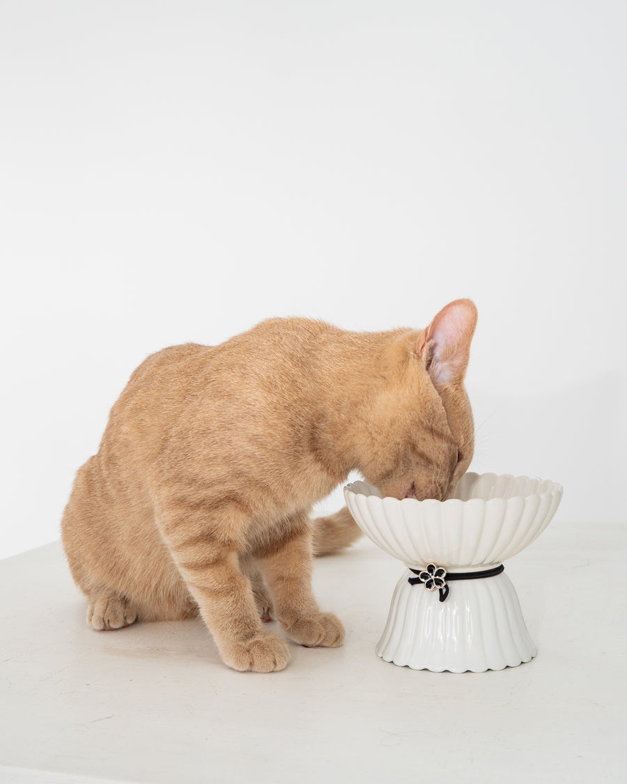 Dexypaws Raised Ceramic Cat Bowl, White With Black Flower, 8.7-oz