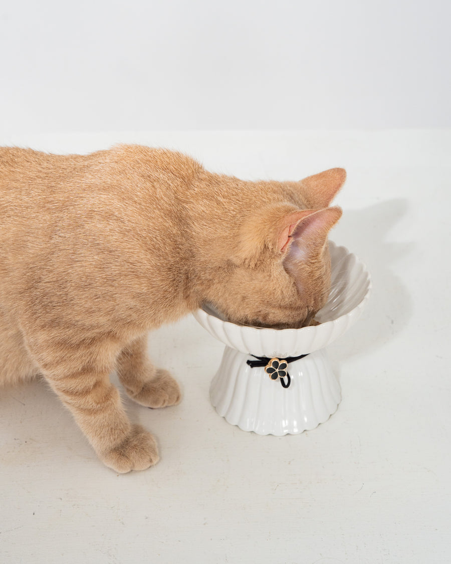 Dexypaws Raised Ceramic Cat Bowl, White With Black Flower, 8.7-oz