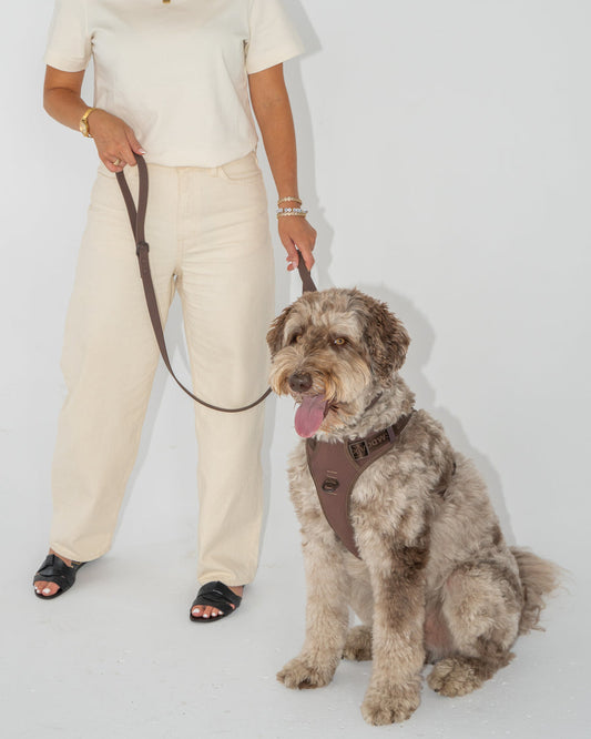 Dexypaws - No-Pull Dog Harness - Espresso - Large