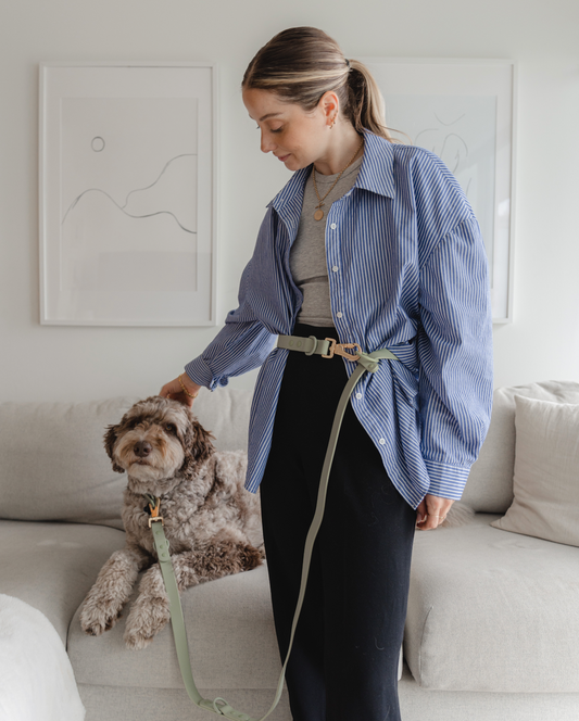 Dexypaws - Hands Free Waterproof Dog Leash - 6 Feet - Sage Green