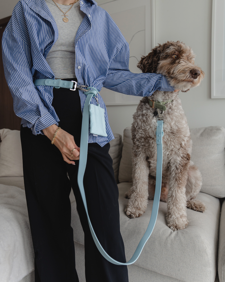 Dexypaws - Hands Free Waterproof Dog Leash - 6 Feet - Sky Blue