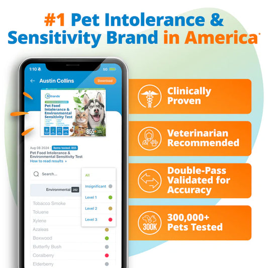 5Strands Pet Food Intolerance & Environmental Sensitivity Test