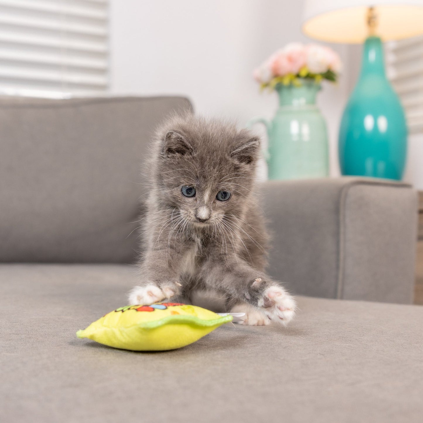 Huxley & Kent - Sour Scratch Kats with Catnip Cat Toy