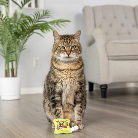 Huxley & Kent - Sour Scratch Kats with Catnip Cat Toy