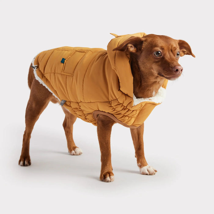 GF Pet - Super Puff Parka Yellow - XL -Dog