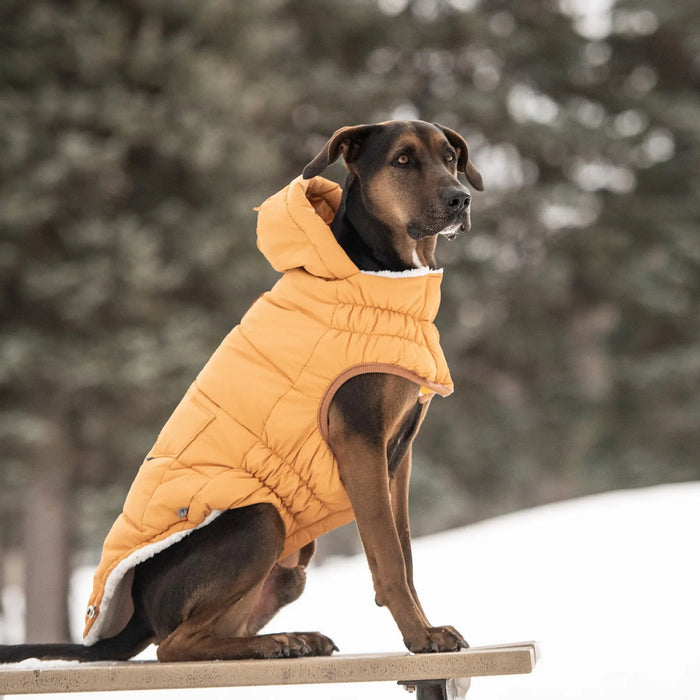 GF Pet - Super Puff Parka - Yellow - 2XL - Dog