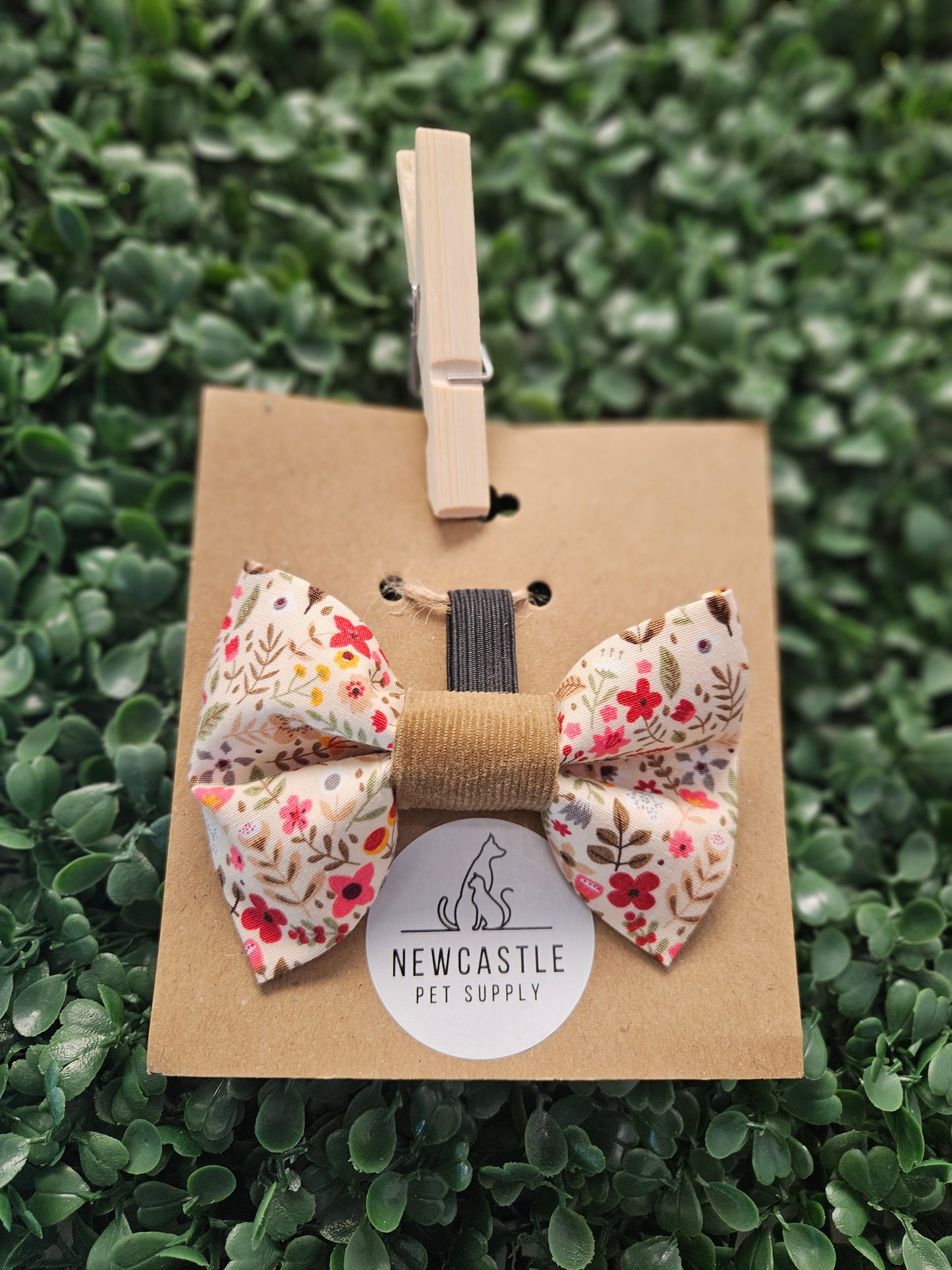 NPS - DR - Bowtie - Floral With Taupe Corduroy Band