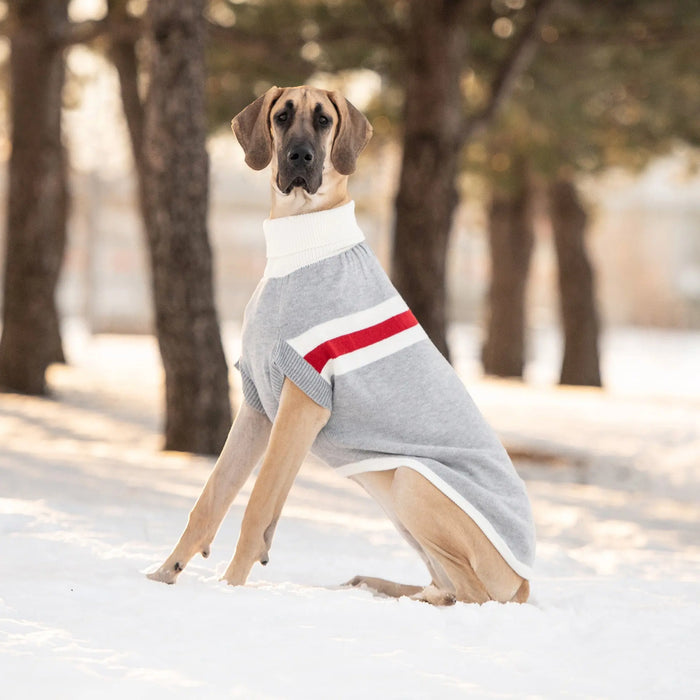 GF Pet - Trekking Sweater - Grey - 3XL - Dog