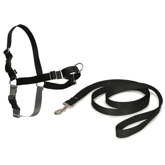 PetSafe Easy Walk Dog Harness & Lead, Black, X-Large