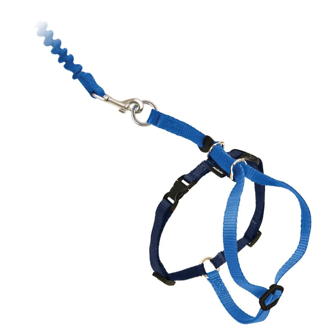 PetSafe Come With Me Kitty Harness & Bungee Cat Leash, Royal Blue/Navy, Small (Color: Royal Blue/Navy, Size: Small)