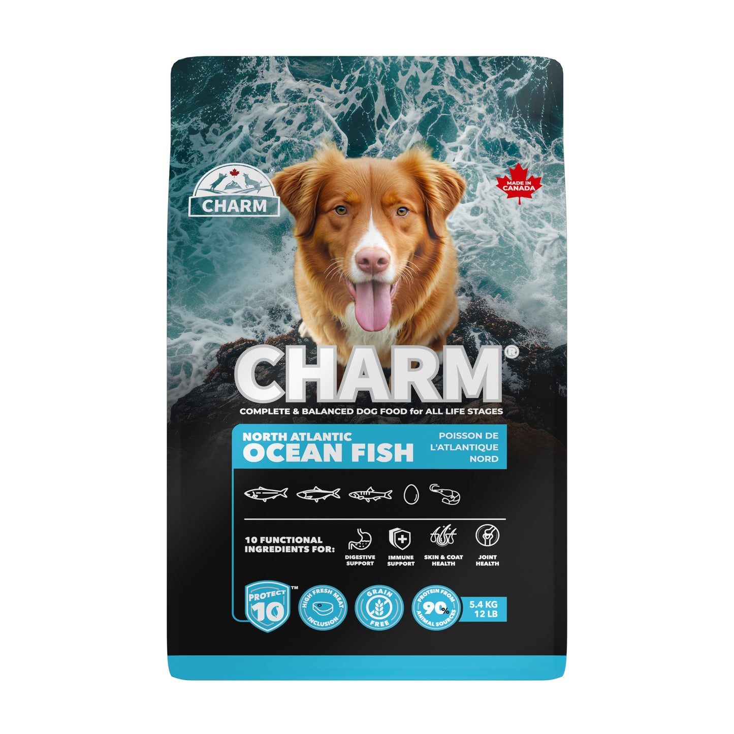 CHARM North Atlantic Ocean Fish Dog Food, 340-gr