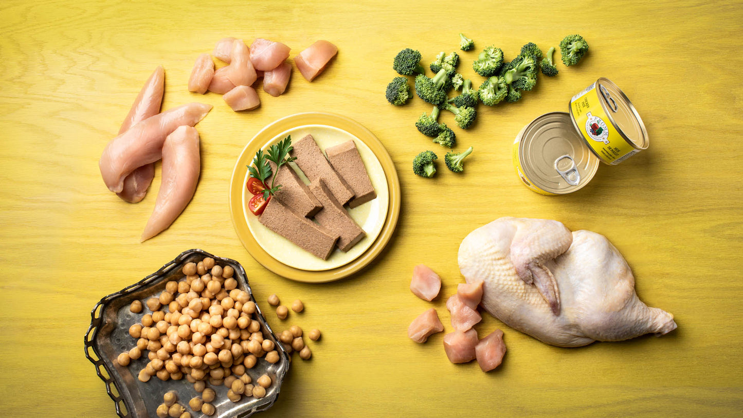 Fromm Four-Star Nutritionals Chicken Pate Canned Cat Food, 5.5-oz (Size: 5.5-oz)