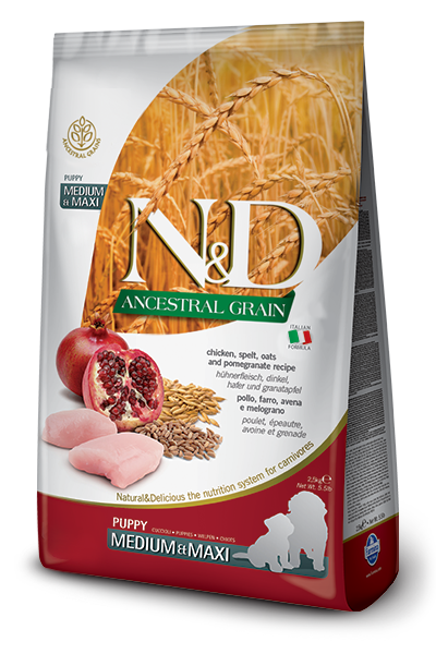 Farmina N&D Ancestral Grain Chicken & Pomegranate Medium & Maxi Puppy Dry Dog Food, 5.5-lb (Size: 5.5-lb)