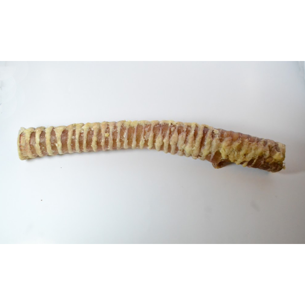 Open Range Beef Trachea Bully Stick Dog Treats, 12-in (Size: 12-in)