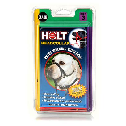 Coastal Walk 'n Train Head Halter Dog Harness, Black, Large (Size: Large)