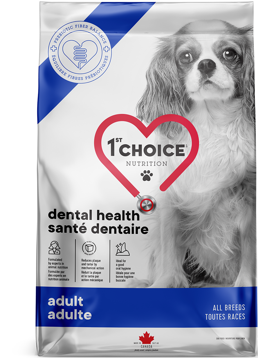 1st Choice Nutrition Dental Health Formula Dry Dog Food, 2kg