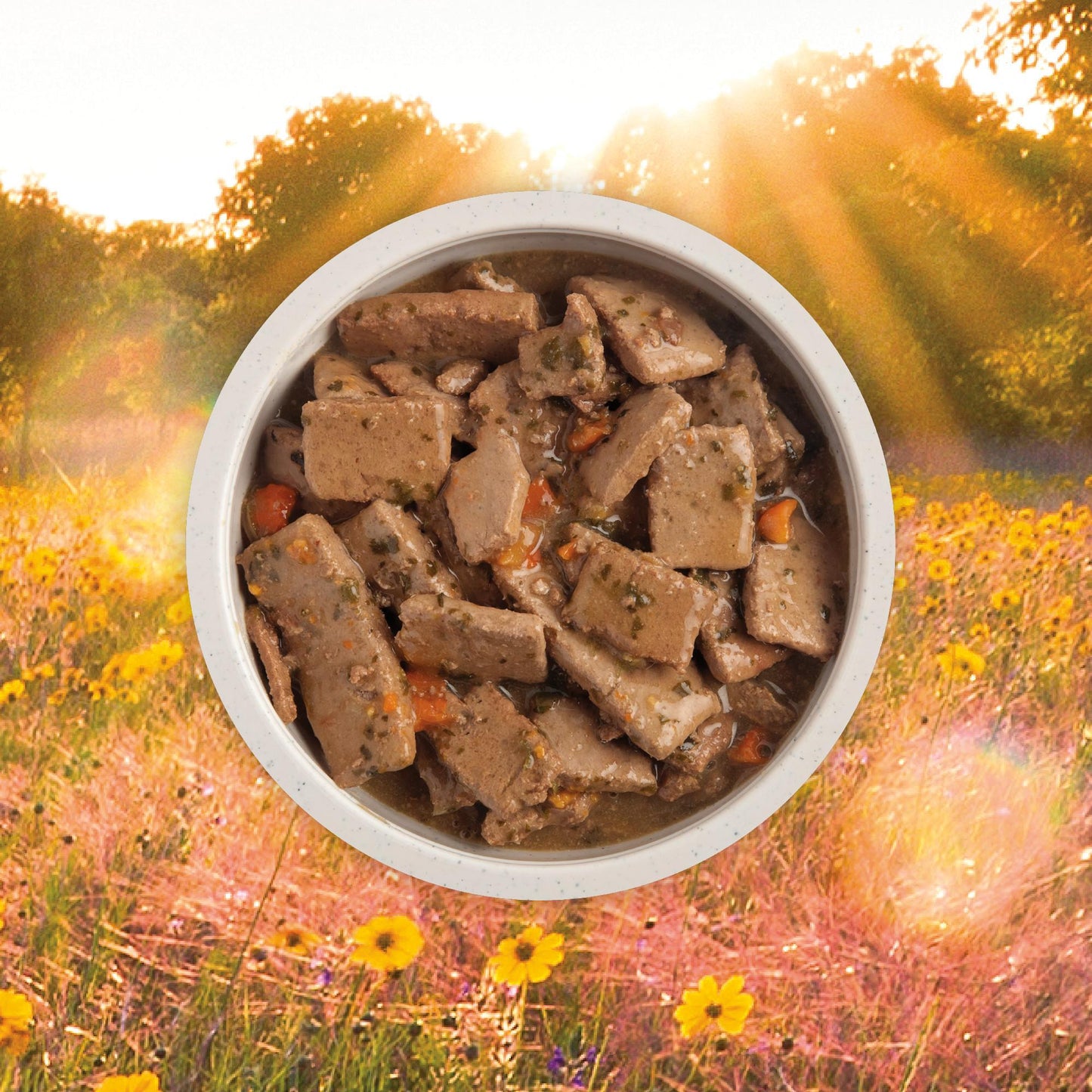 ACANA Premium Chunks Lamb Recipe in Bone Broth Wet Dog Food, 12.8-oz (Size: 12.8-oz)
