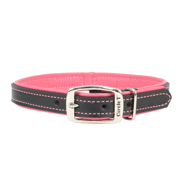 Circle T Double-Ply Fashion Leather Dog Collar, Black & Rosebud, 3/4-in x 16-in (Size: 3/4-in x 16-in)