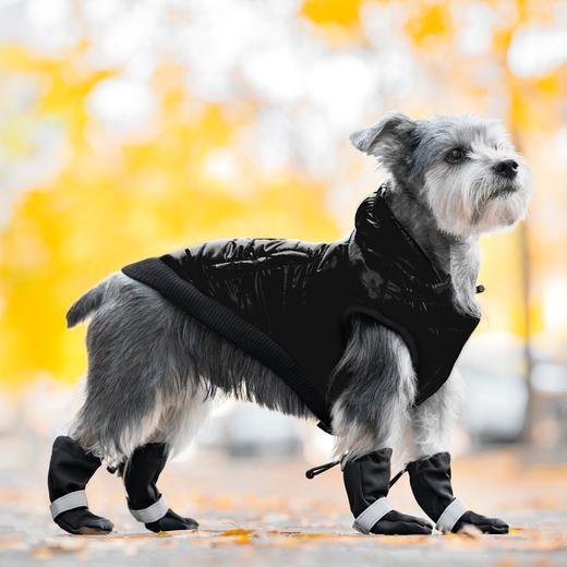 Canada Pooch Soft Shield Reflective Dog Boots, Black, 6