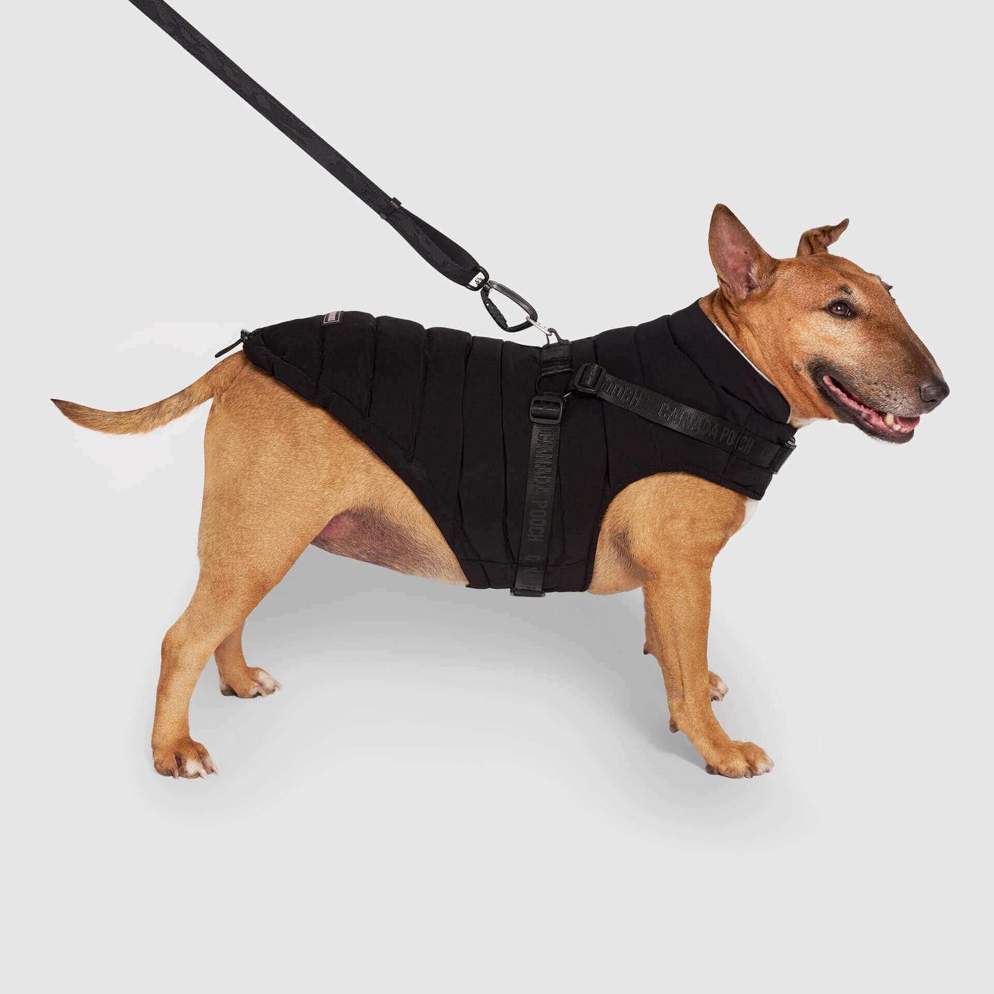 Canada Pooch Puffer Dog Harness, Black, 14 (Size: 14)
