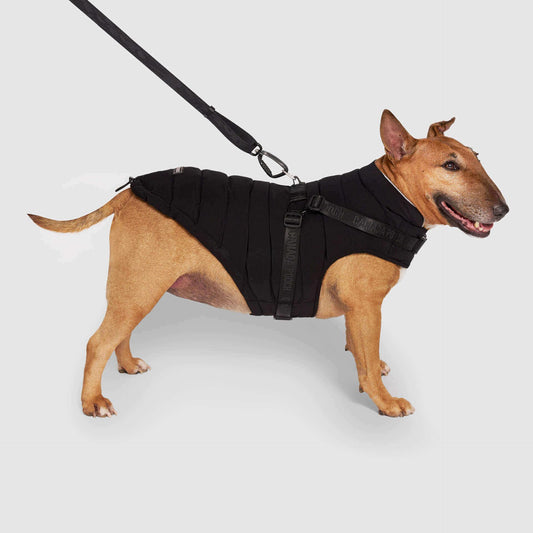 Canada Pooch Puffer Dog Harness, Black, 20