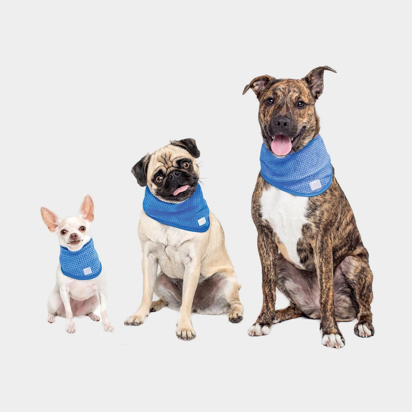 GF Pet Ice Band Dog Cooling Bandana, X-Small (Size: X-Small)