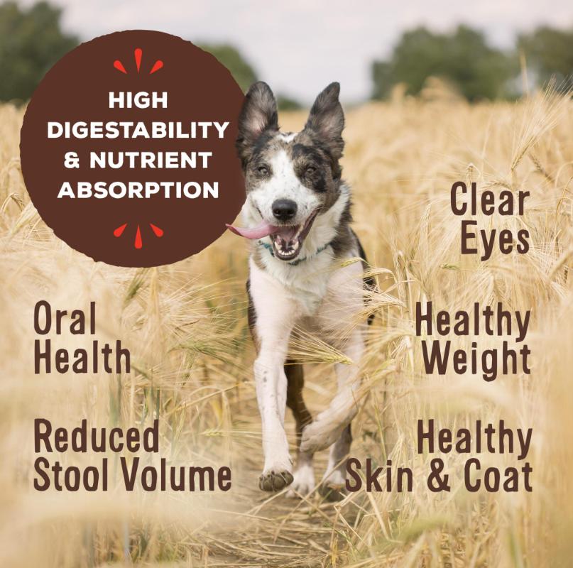 Primal Lamb Formula Patties Raw Frozen Dog Food, 6-lb (Size: 6-lb)