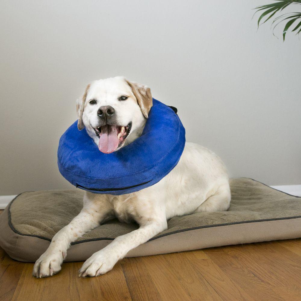 KONG E-Collar Cloud for Pets, Large (Size: Large)
