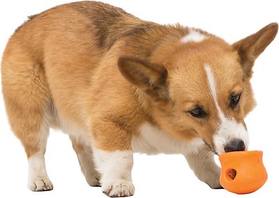 West Paw Zogoflex Toppl Dog Toy, Tangerine, Small (Size: Small)