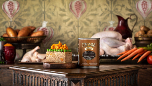 Fromm Turkey, Duck & Sweet Potato Pate Canned Dog Food, 12.2-oz