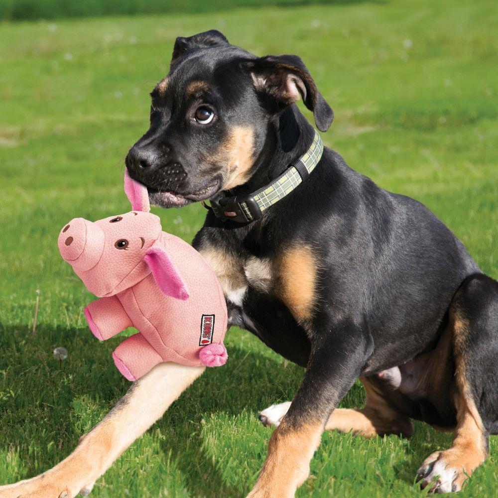 KONG Phatz Pig Dog Toy, Small (Size: Small)