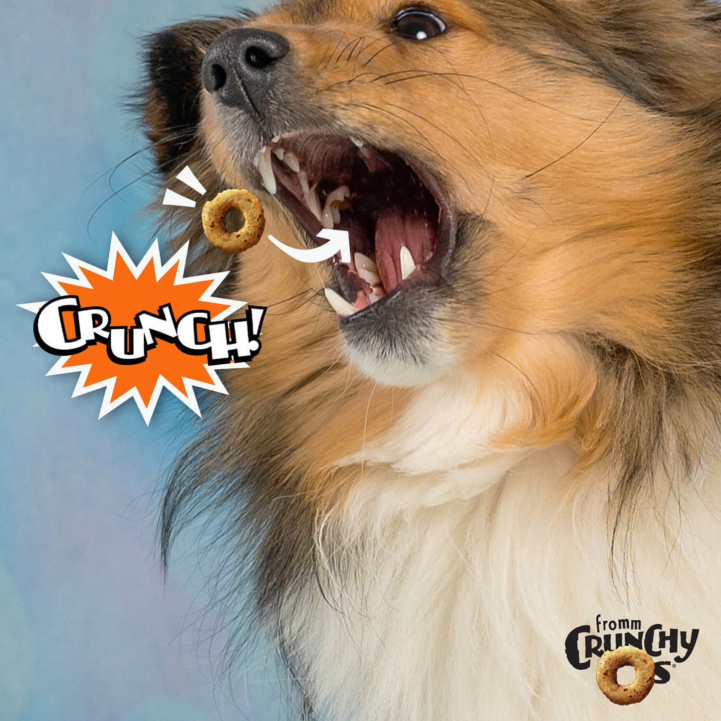 Fromm® Crunchy O's® Peanut Butter Jammers™ Multigrain Dog Treats 26 oz
