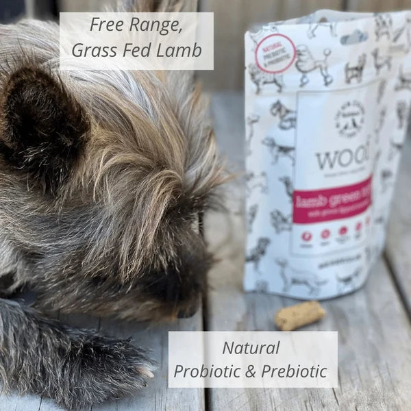 NZ Natural Woof Lamb Green Tripe & Green Lipped Mussel Freeze-Dried Dog Treat 40-g