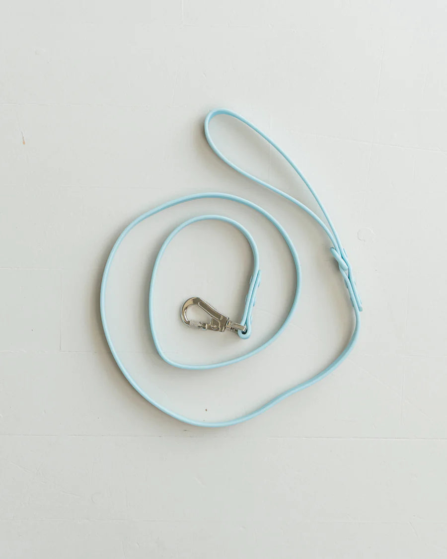 DexyPaws - Waterproof Dog Leash - Sky Blue - 5 Feet