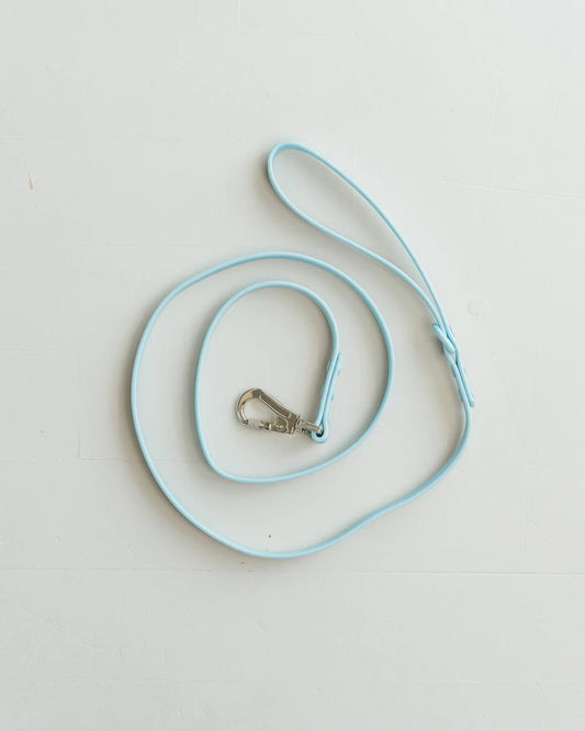 DexyPaws - Waterproof Dog Leash - Sky Blue - 5 Feet