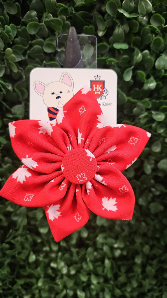 Huxley & Kent - Pinwheel - Maple Leaf - Large