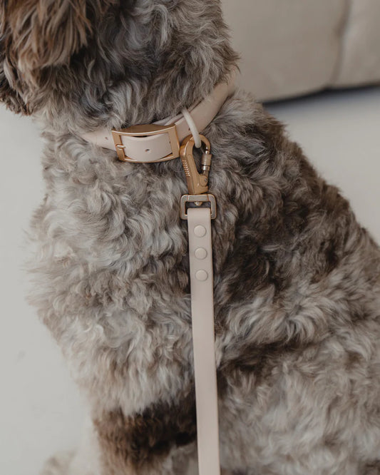 Dexypaws - Waterproof Dog Leash - Nude - 6 Feet