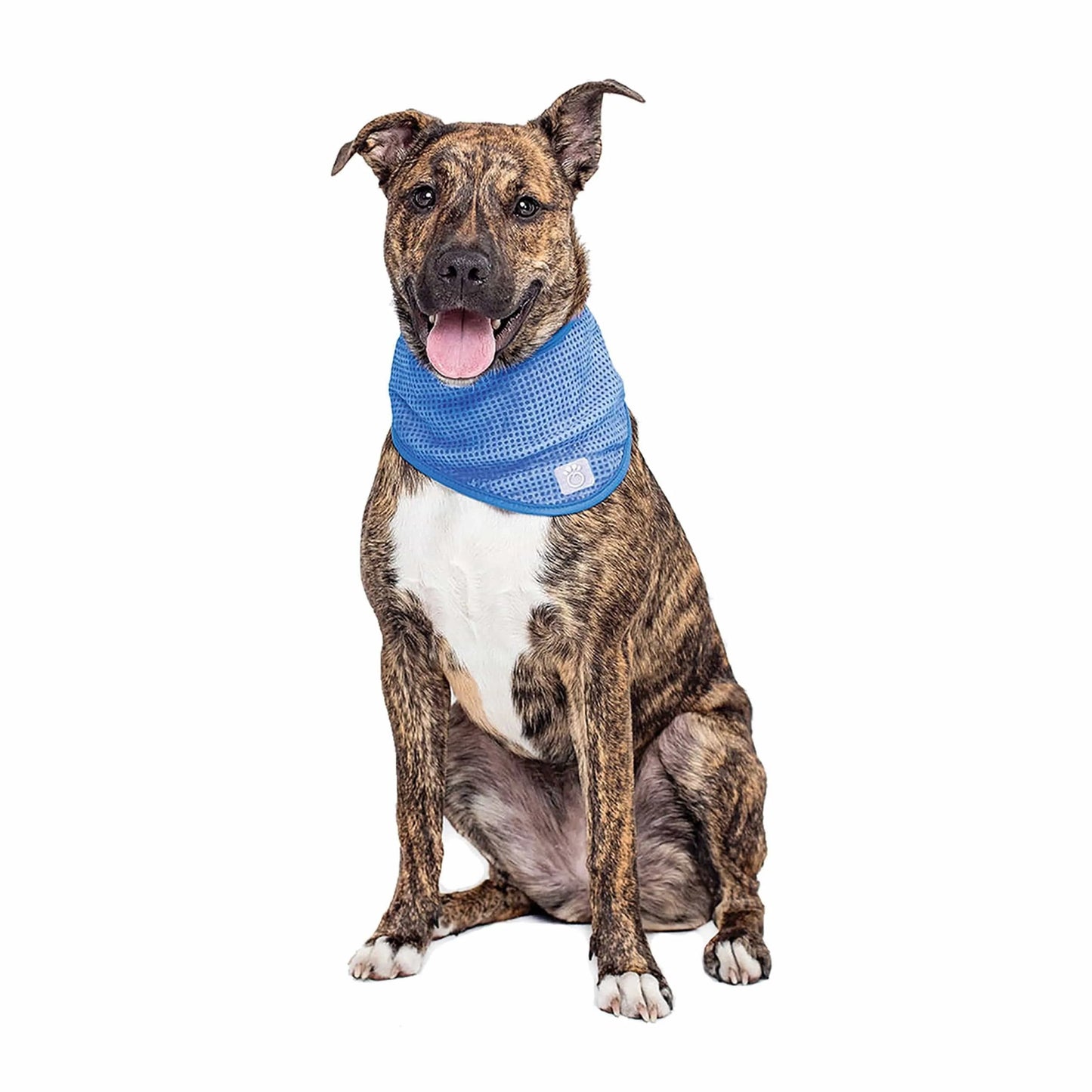 GF Pet Ice Band Dog Cooling Bandana, Large/X-Large (Size: Large/X-Large)