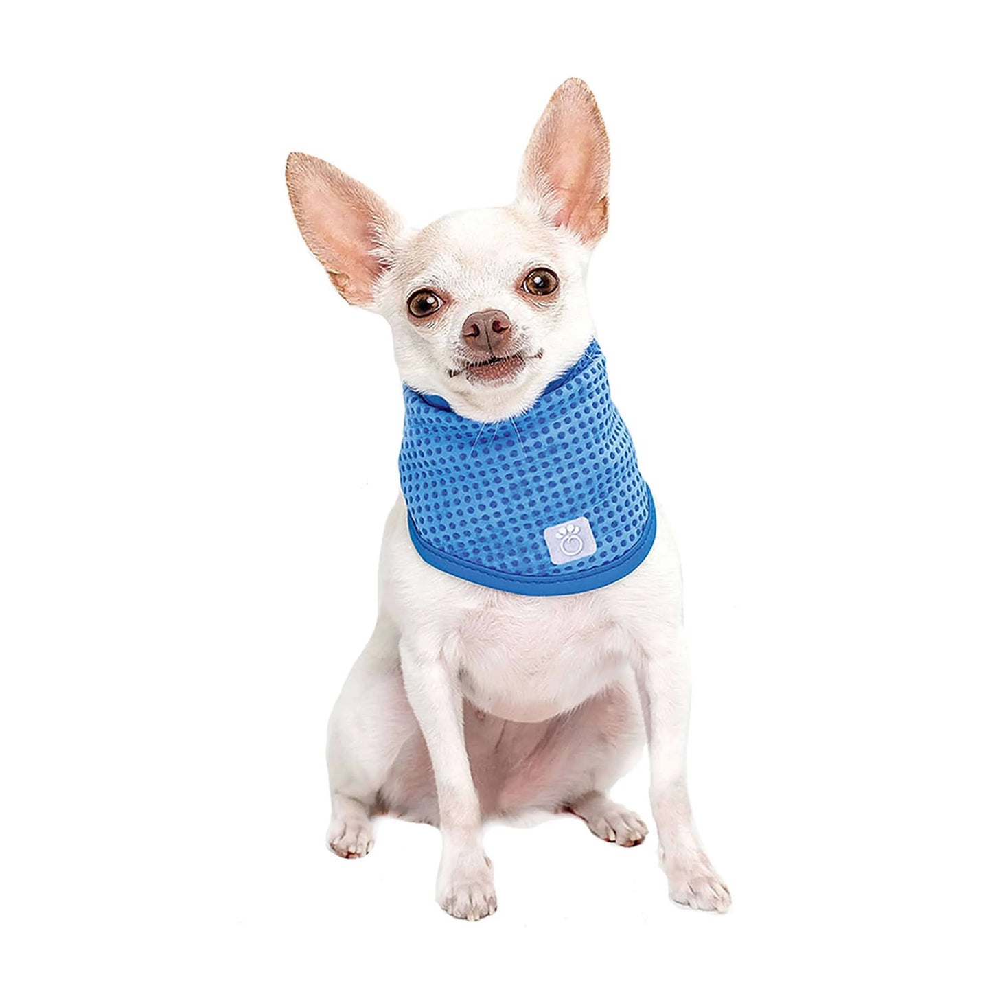 GF Pet Ice Band Dog Cooling Bandana, X-Small (Size: X-Small)