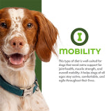 Fromm Nutritionals Mobility Chicken & Whole Oats Recipe Dry Dog Food 4-lb