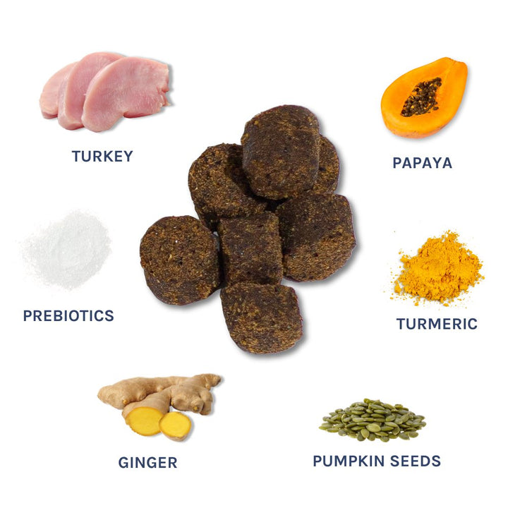 Healthybud Gut Booster Dog Treats - Turkey 130g