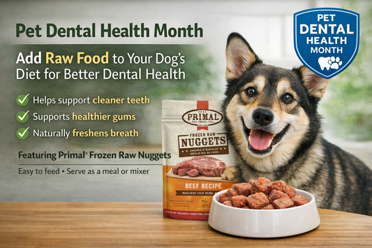 Pet Dental Health Month: Raw Food for Dog Dental Health | Newcastle ON